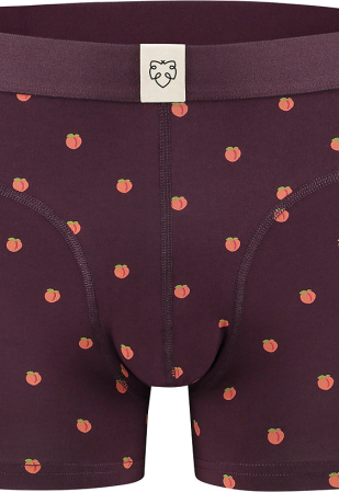 Boxer-Brief "Manus" - aubergine